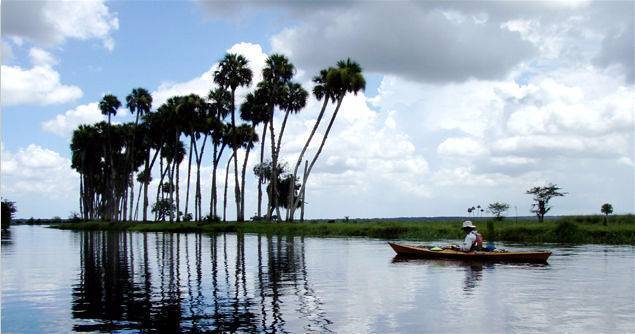 Econlockhatchee River Kayak Tour