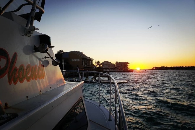 Night Dives