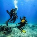 Create Listing: Get Scuba Certified