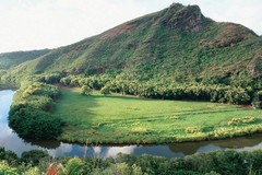 Create Listing: Waimea Canyon, Wailua River & Fern Grotto Tour