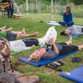 Create Listing: Maui Goat Yoga with Our Miniature Goats