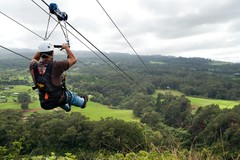 Create Listing: 5 Line Side By Side Zipline Tour