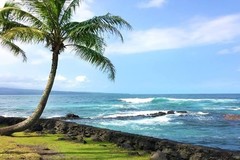 Create Listing: Beach Snorkel - Sea Turtle Lagoon and Black Sand Beach