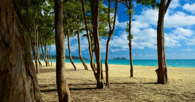 Beautiful Colors of Hawaii Photo Tour