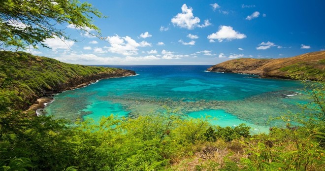 Beautiful Colors of Hawaii Photo Tour