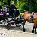 Create Listing: Horse and Carriage Tour