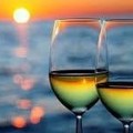 Create Listing: Wine Tasting Cruise - 1.5hrs