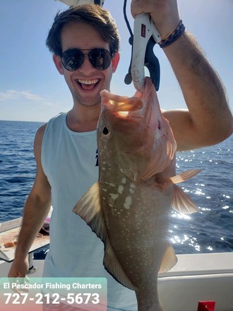 8 Hr Fishing - Indian Rocks Beach