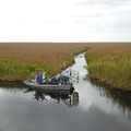 Create Listing: Private Airboat Adventure