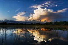 Create Listing: Red Eye Exclusive Nighttime Airboat Adventure