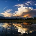 Create Listing: Red Eye Exclusive Nighttime Airboat Adventure