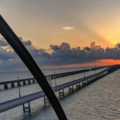 Create Listing: Seven Mile Bridge Tour - 60-Minute Ride