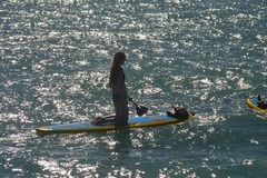 Create Listing: Casa Marina Paddleboard Rental -  1 to 8 Hours