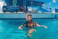 Create Listing: Seabreeze Dolphin & Snorkel Tour - 3.5 Hours