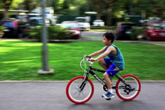 Create Listing: Children's South Beach Bicycle Rental - Ages 5 to 8