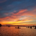 Create Listing: Sunset/Bioluminescence Kayak Tour