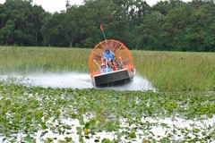 Create Listing: VIP Private Half Hour Airboat Tour - All Ages Welcome