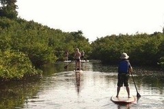 Create Listing: Paddle Board Rentals