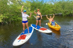 Create Listing: Banana River Lagoon Eco Tour - Paddle Board &  Kayak 