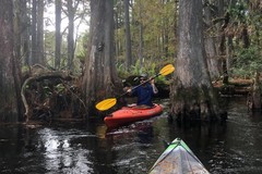 Create Listing: Wild & Scenic Loxahatchee River Tour | 2 Hr | Jupiter FL