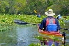 Create Listing: Private Wekiva River Tour