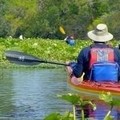 Create Listing: Private Wekiva River Tour