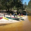 Create Listing: ABC Kayaking: FUNdamentals