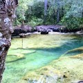 Create Listing: Chassahowitzka Wildlife Kayak Tour - 3 Hours • All Ages