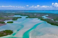 Create Listing: 10,000 Islands Boat Tour - Dolphin & Shelling