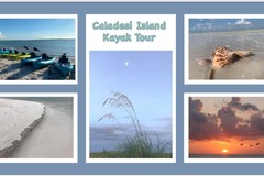 Create Listing: Caladesi Island Kayak Adventure! 2 person minimum