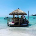 Create Listing: 3 Hour Sandbar and Swim Cruise