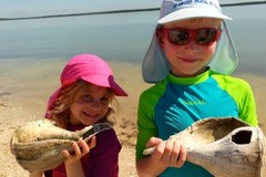 Create Listing: Family Fun Boating, Shelling, and Fishing Trip - 4hrs