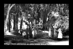 Create Listing: Wild Women of Anna Maria Island- 90mins