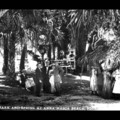 Create Listing: Wild Women of Anna Maria Island- 90mins