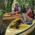 Create Listing: Private Mangrove Tunnel Kayak Eco Tour - 3 Hours • All Ages