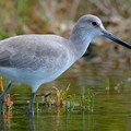 Create Listing: Guided Swamp Walk - 3 Hours • All Ages