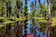 Create Listing: Shell Bank 1/2 Day Extended Bayou Adventure - 4hrs