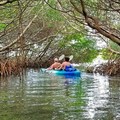 Create Listing: 50/50 Shell Key Kayak Tour - 3hrs