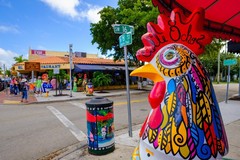 Create Listing: Miami City/Boat Tour Combo | Little Havana | 5 hrs