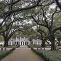 Create Listing: Whitney Plantation