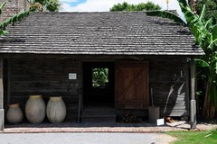 Create Listing: Whitney Plantation + Swamp Tour • Small Airboat Ride- 7.5hrs