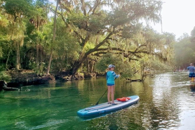 Blue Spring Paddle Board or Kayak and Swim Adventure