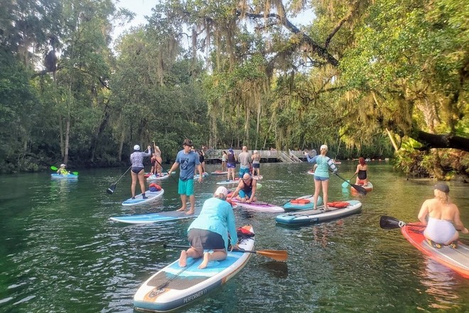 Blue Spring Paddle Board or Kayak and Swim Adventure