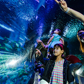 Create Listing: Sea Life Aquarium Orlando (Save up to 30%!)