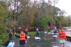 Create Listing: Wekiva River Eco Adventure: SUP & Swim / SUP & Hike - 2.5hrs