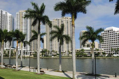 Create Listing: One Day Miami Tour - (SAVE UP TO 25%)