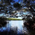 Create Listing: Weedon Island - Half Day Rentals