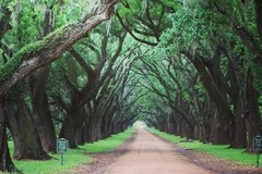 Create Listing: Whitney Plantation Audio Tour - 5.5hrs