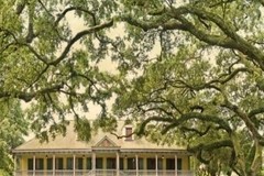 Create Listing: Laura Plantation Tour - 5.5hrs