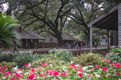 Create Listing: Louisiana Plantation Tour - 4hrs